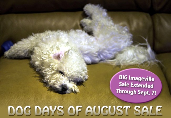 Dog Days of August Sale extended through Sept 7!